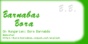 barnabas bora business card